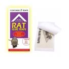 Rat Glue Trap