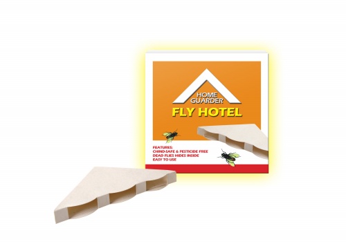 Fly Motel