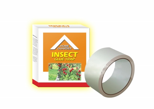 Insect Glue Trap