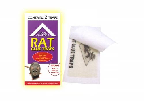 Rat Glue Trap