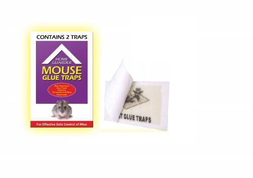 Mouse Glue Trap