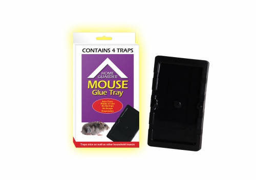 Mouse Glue Tray