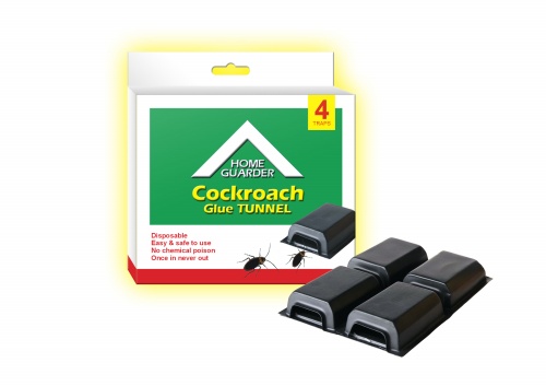 Cockroach Tunnel